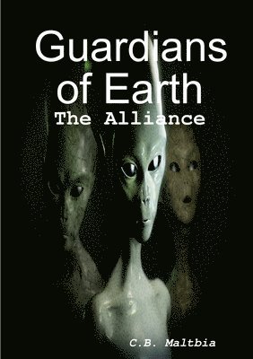 bokomslag Guardians of Earth