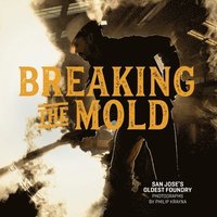 bokomslag Breaking the Mold