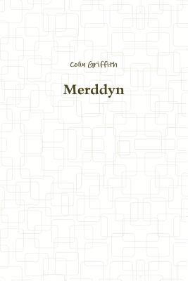 bokomslag Merddyn
