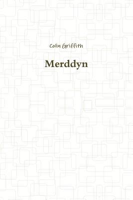 Merddyn 1