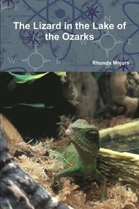 bokomslag Lizard in the Lake of the Ozarks