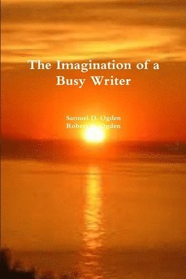 bokomslag Imagination of a Busy Writer