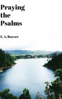 bokomslag Praying the Psalms