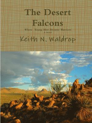 bokomslag Desert Falcons
