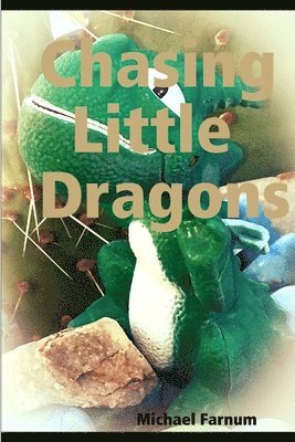 Chasing Little Dragons 1