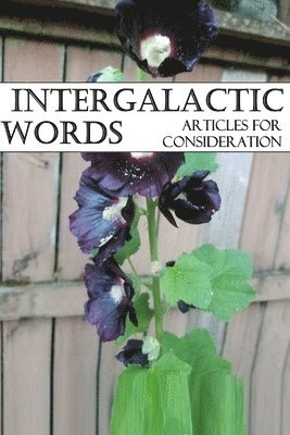 bokomslag Intergalactic Words