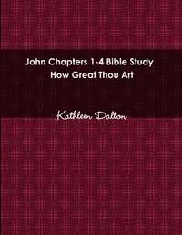 bokomslag John Chapters 1-4 Bible Study How Great Thou Art