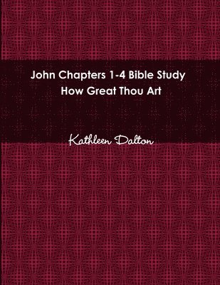 bokomslag John Chapters 1-4 Bible Study How Great Thou Art