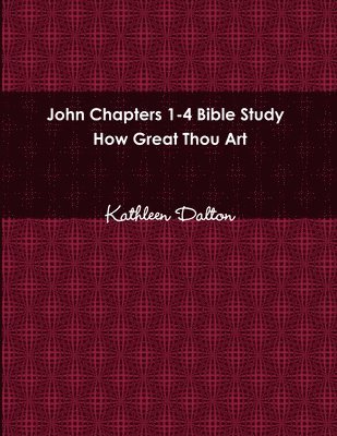 bokomslag John Chapters 1-4 Bible Study How Great Thou Art