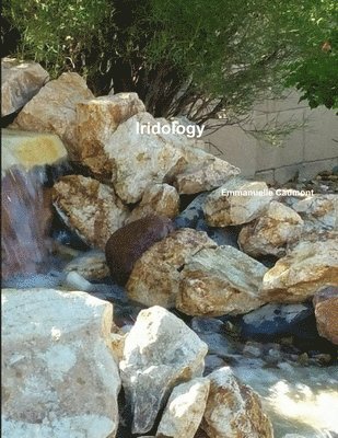 bokomslag Iridology