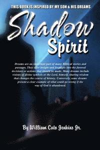 bokomslag Shadow Spirit