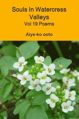 Aiye-ko ooto, Aiye-Ko Ooto - Souls In Watercress Valleys, Häftad