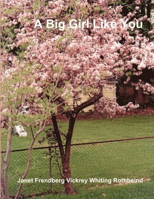 Janet Frendberg Vickrey Whiti Rothbeind - Big Girl Like You, Häftad