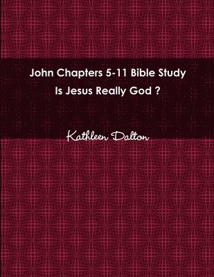 bokomslag John Chapters 5-11 Bible Study Is Jesus Really God?