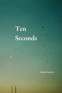 bokomslag Ten Seconds