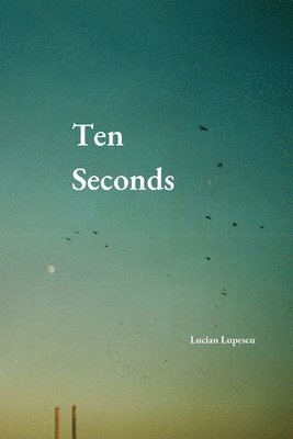 bokomslag Ten Seconds