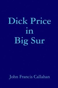 bokomslag Dick Price in Big Sur
