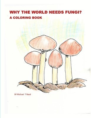 Why the World Needs Fungi? A Coloring Book 1