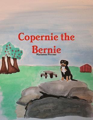 Copernie the Bernie 1