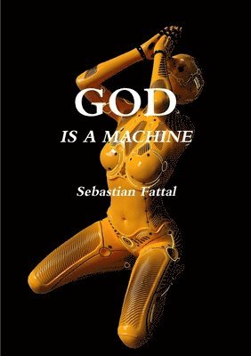bokomslag God Is a Machine