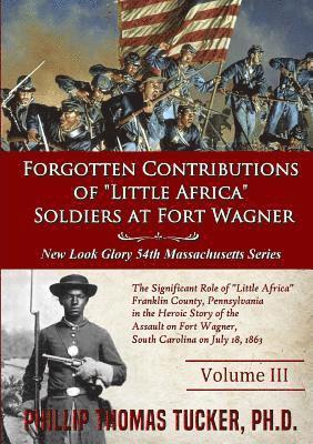 Phillip Thomas Tucker - Forgotten Contributions of "Little Africa" Soldiers at Fort Wagner, Häftad