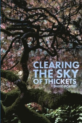 Clearing the Sky of Thickets 1