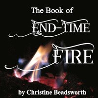 bokomslag Book of End-Time Fire