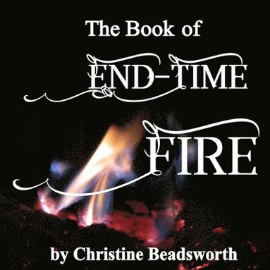 bokomslag Book of End-Time Fire