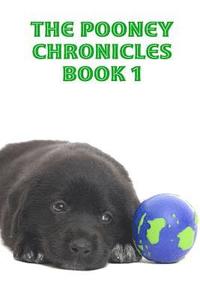 bokomslag The Pooney Chronicles Book 1