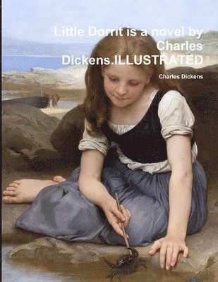 Charles Dickens - Little Dorrit is a novel by Charles Dickens.ILLUSTRATED, Häftad