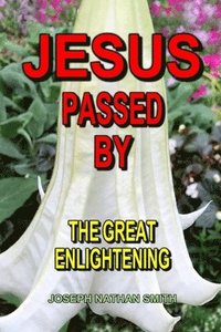 bokomslag Jesus Passed By