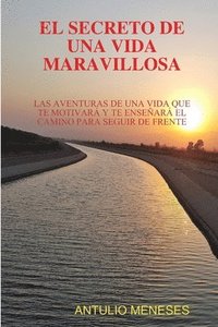 bokomslag Secreto de Una Vida Maravillosa