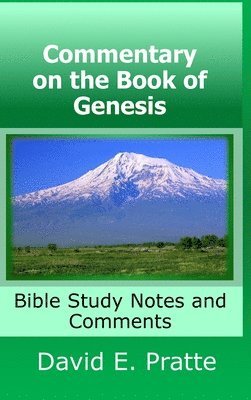 bokomslag Commentary on the Book of Genesis