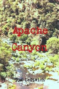 bokomslag Apache Canyon