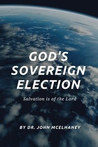 bokomslag God's Sovereign Election