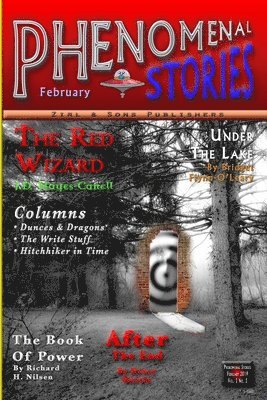Shawn M Tomlinson, Shawn M. Tomlinson - Phenomenal Stories, Vol. 2, No. 2, Häftad