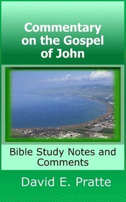 bokomslag Commentary on the Gospel of John