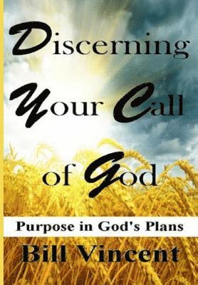 bokomslag Discerning Your Call of God