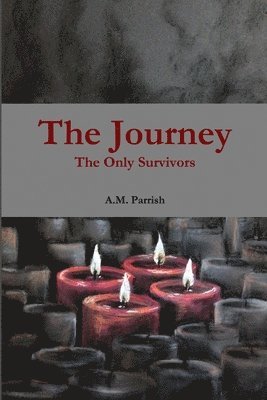 bokomslag Journey The Only Survivors
