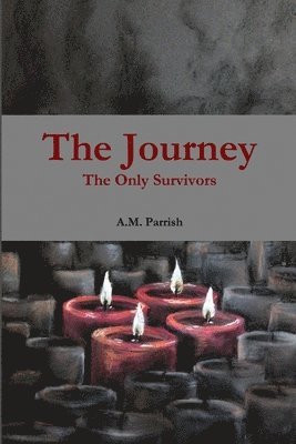 bokomslag The Journey The Only Survivors