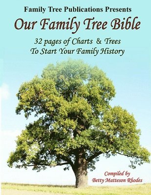 bokomslag Our Family Tree Bible