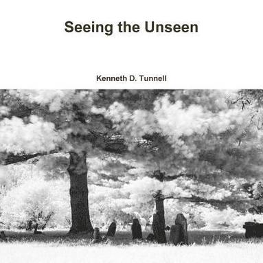 bokomslag Seeing the Unseen