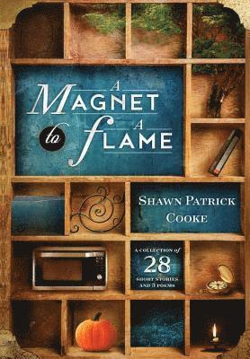 bokomslag Magnet to a Flame