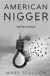 bokomslag American Nigger
