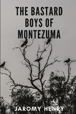 bokomslag Bastard Boys of Montezuma
