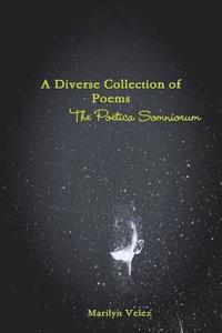 bokomslag Poetica Somniorum