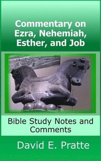 bokomslag Commentary on Ezra, Nehemiah, Esther, and Job