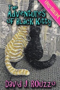 bokomslag The Adventures of Black Kitty