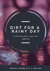 bokomslag Dirt for a Rainy Day