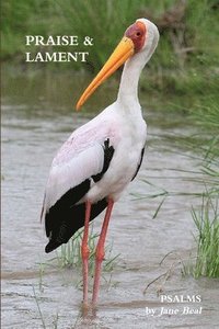 bokomslag PRAISE & LAMENT: Psalms for the God of Birds